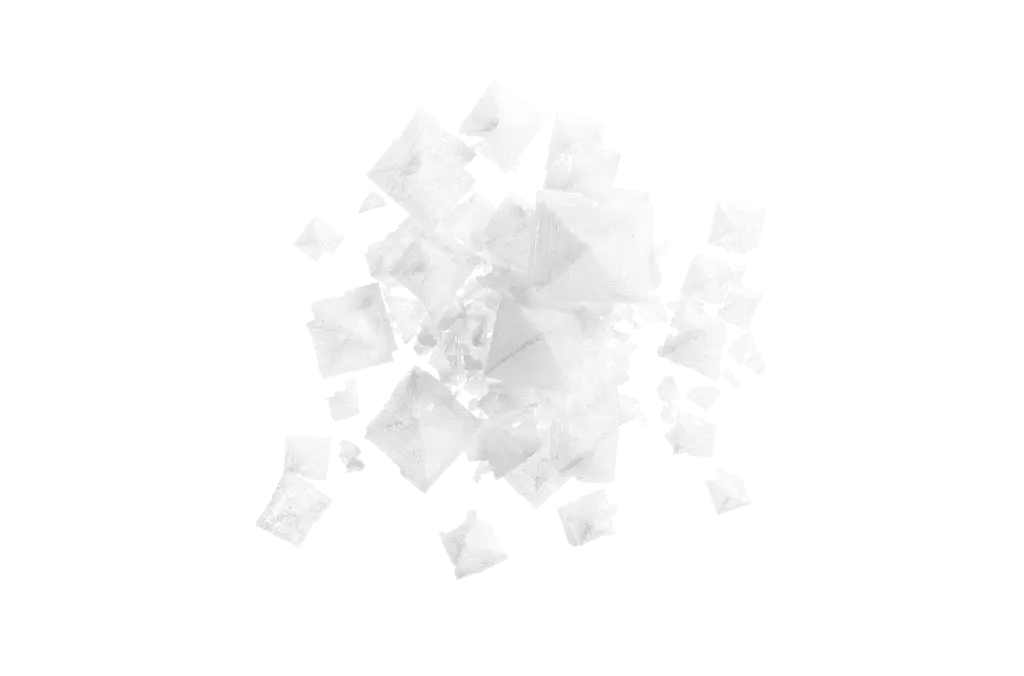 Salt Flakes Detail.webp