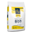 Soft Sel Regular - Salt Tablets For Water Softener (40 x 25kgs / pallet) 