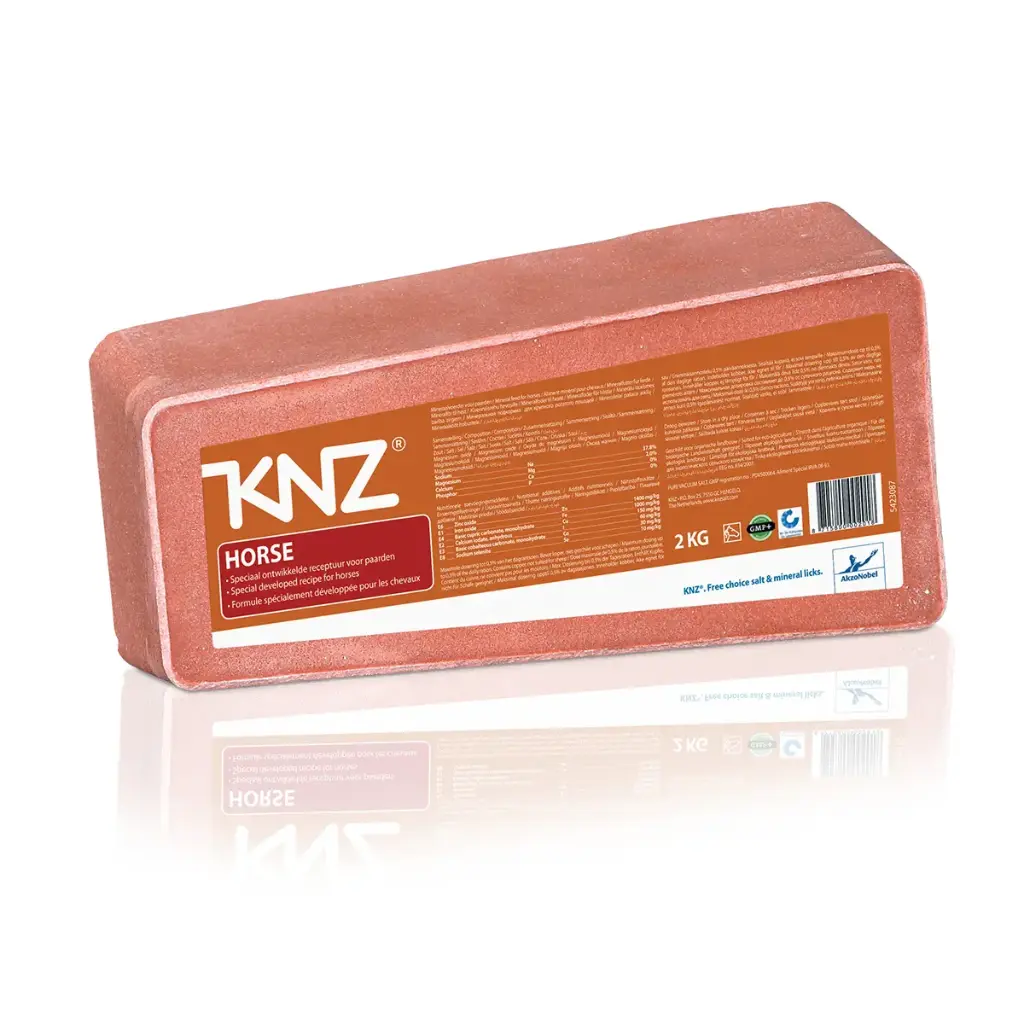 Salt Lick for Horses 6 x 2 KG - Horse Salt Lick